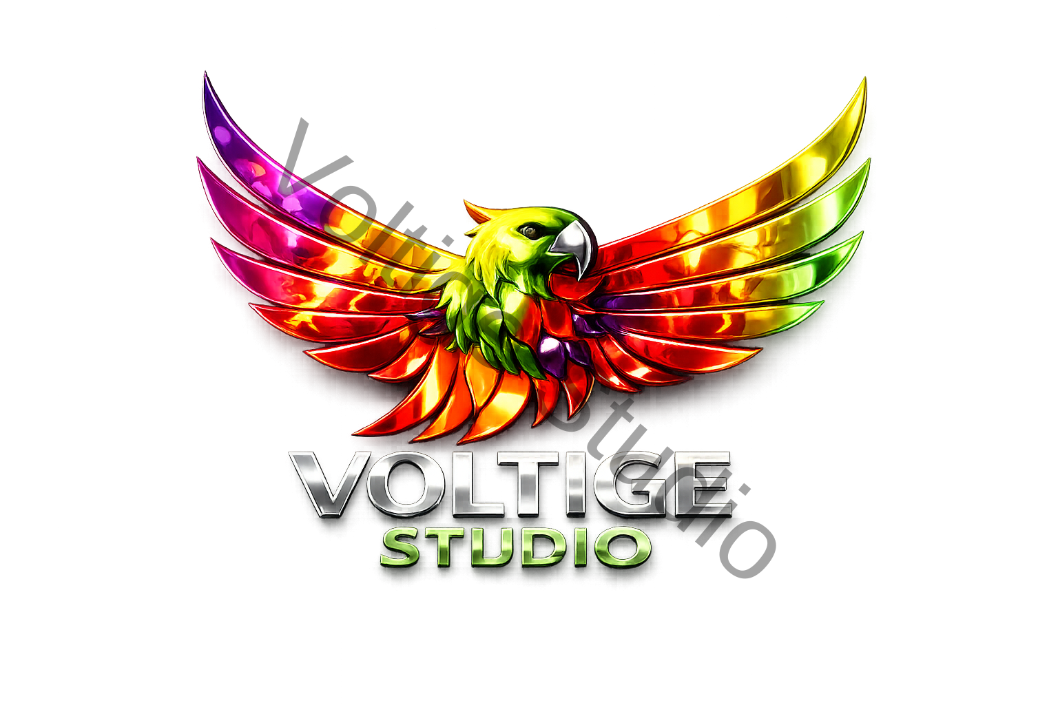 Voltige Studio